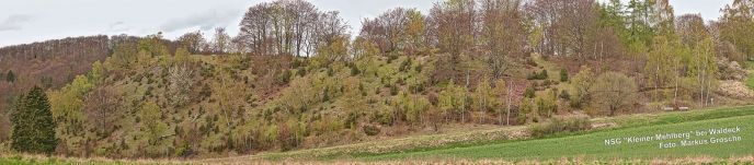 Panorama NSG Kleiner Mehlberg